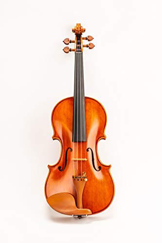 D Z Strad Model 220 Violin
